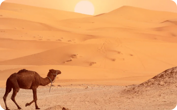 Africa 18 countries eSIM